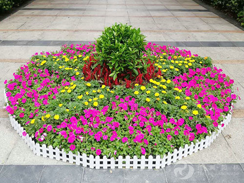 花卉租摆