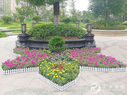 花卉租摆