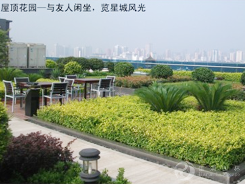 机关养护-省移动