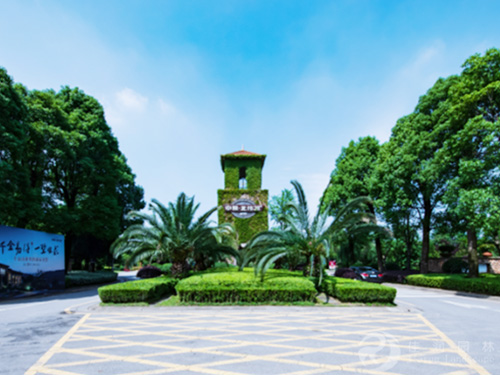 中粮地产