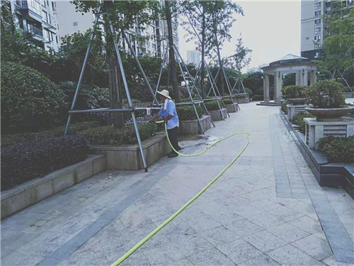 中粮北纬28°——2019年