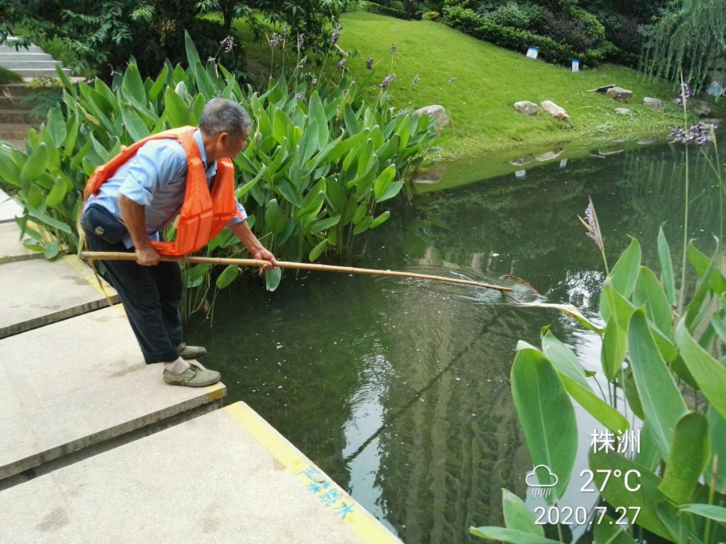 株洲蓝溪谷绿化养护——2020年