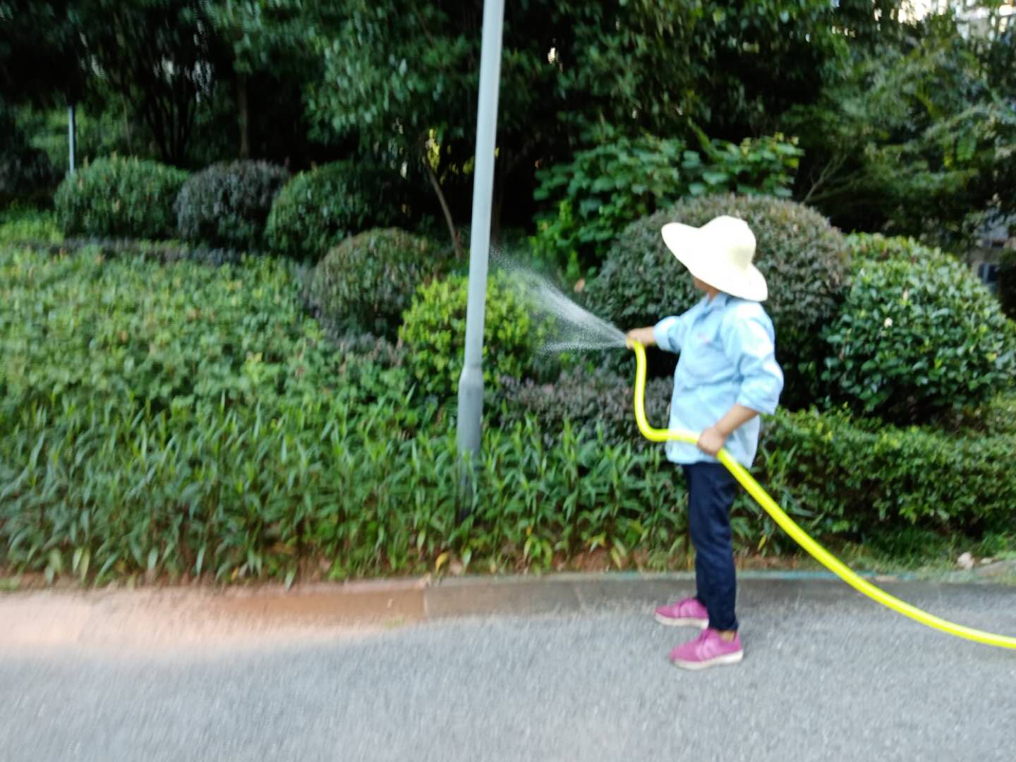 珠江花城绿化养护——2020年