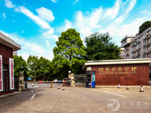 湖南省教育厅绿化养护——2020年