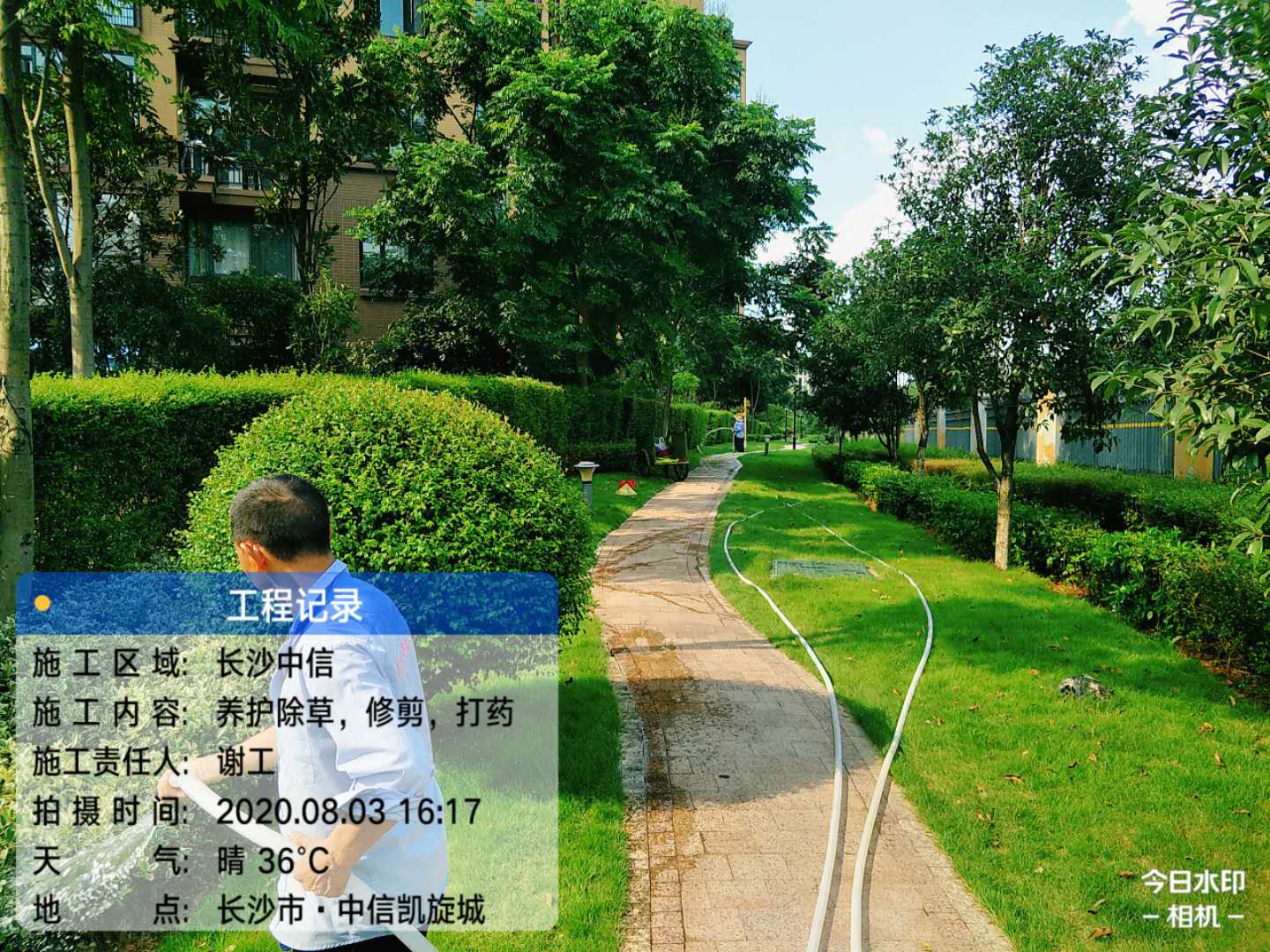 长沙中信凯旋城绿化养护——2020年