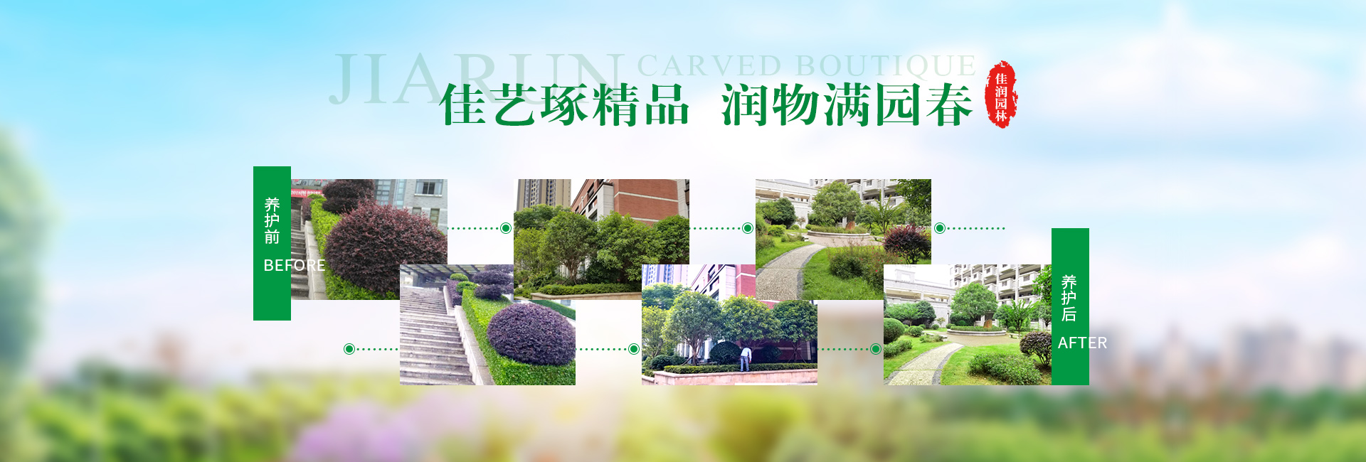 湖南佳润园林绿化养护有限公司_湖南园林绿化养护|园林设计|苗木销售