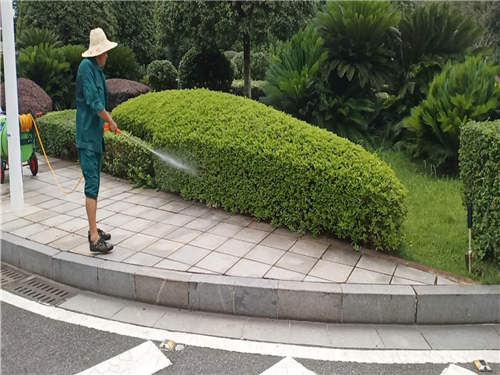 湖南佳润园林绿化养护有限公司,湖南园林绿化养护,园林设计,苗木销售