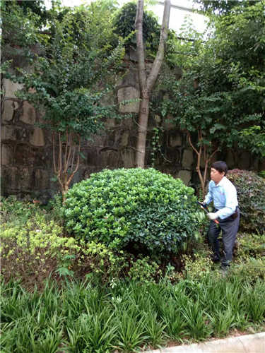 湖南佳润园林绿化养护有限公司,湖南园林绿化养护,园林设计,苗木销售