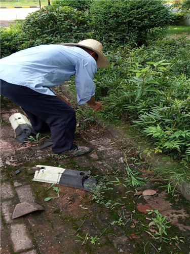 湖南佳润园林绿化养护有限公司,湖南园林绿化养护,园林设计,苗木销售