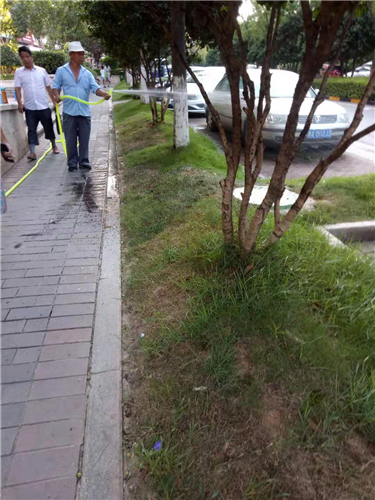 湖南佳润园林绿化养护有限公司,湖南园林绿化养护,园林设计,苗木销售