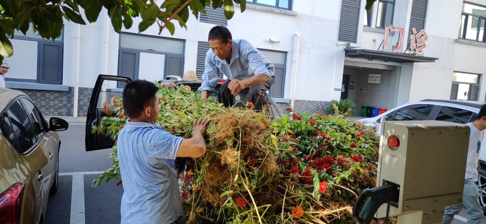 湖南佳润园林绿化养护有限公司,湖南园林绿化养护,园林设计,苗木销售
